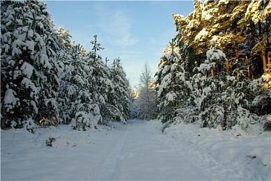 《小小梦魇3》跳票到2025年发售 团队需要更多时间